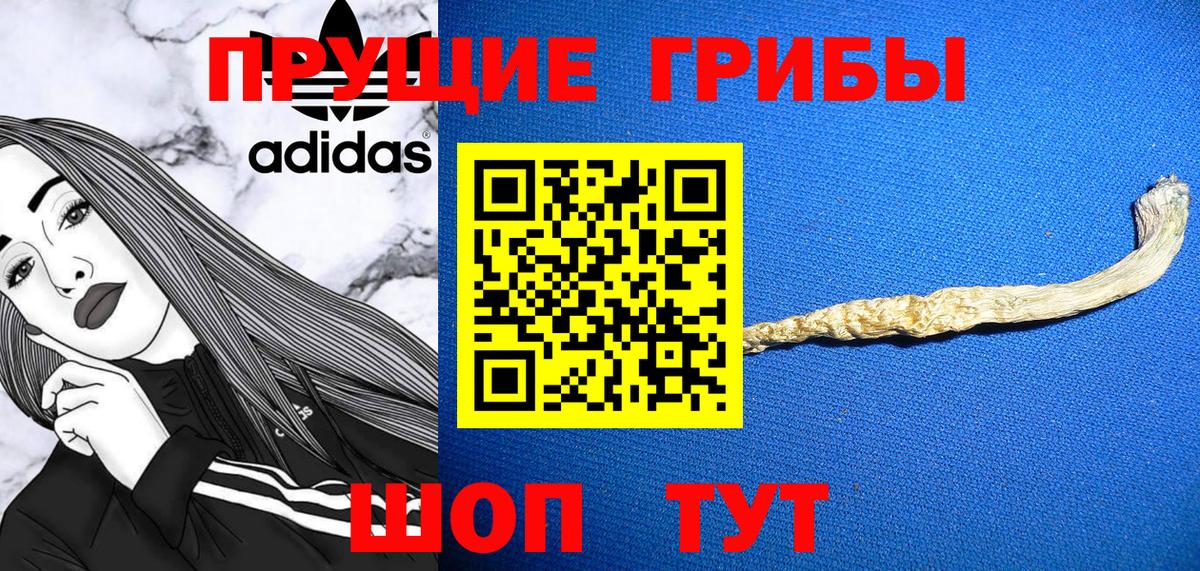 Галлюциногенные грибы Cubensis Златоуст