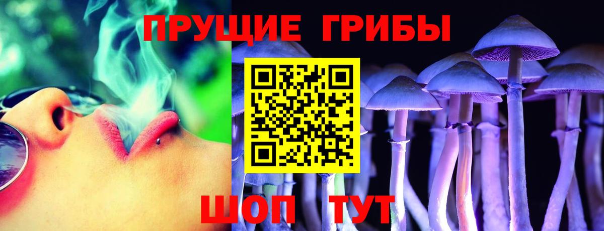 Галлюциногенные грибы GOLDEN TEACHER  Вход с VPN  Златоуст 